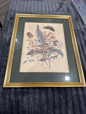 Vintage Botanical Illustration Art Print with Butterflies and Gold Frame